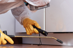 Messie Schädlingsbekämpfung Bergisch Gladbach